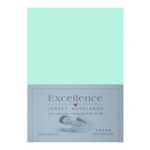 Excellence Hoeslaken Jersey - Mint