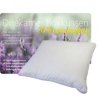 iSleep 3-Kamer Box-kussen Dons